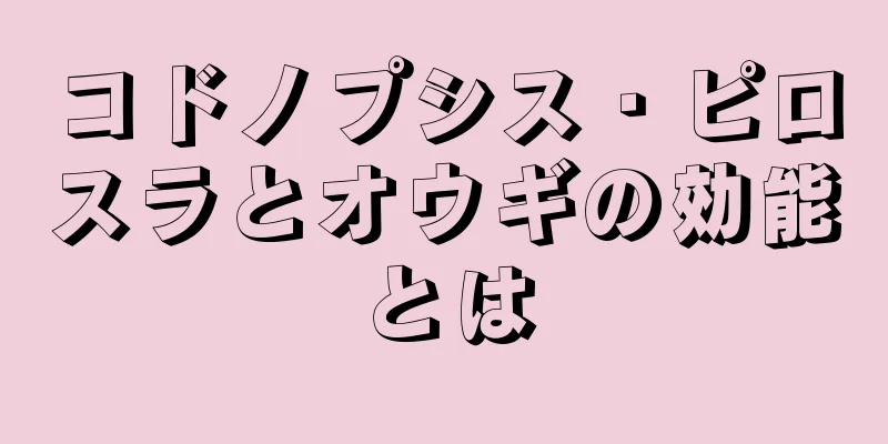 コドノプシス・ピロスラとオウギの効能とは