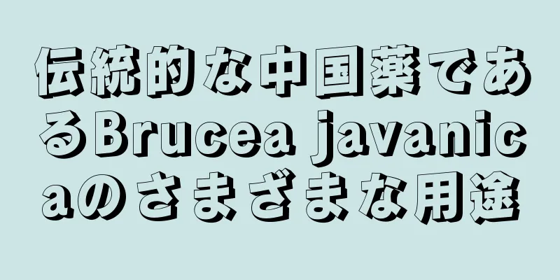伝統的な中国薬であるBrucea javanicaのさまざまな用途