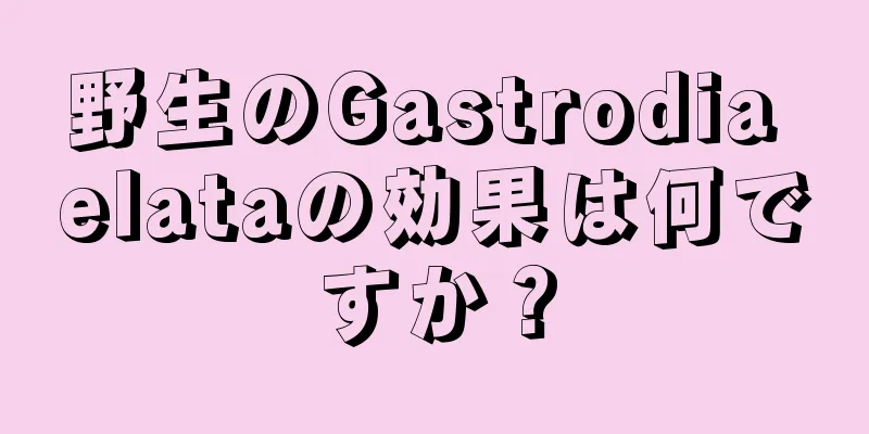 野生のGastrodia elataの効果は何ですか？
