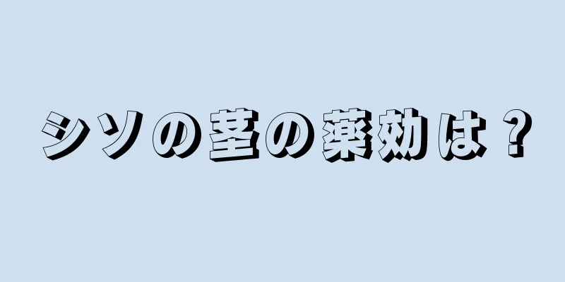 シソの茎の薬効は？
