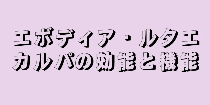 エボディア・ルタエカルパの効能と機能