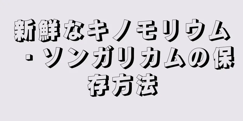 新鮮なキノモリウム・ソンガリカムの保存方法