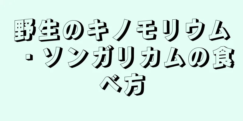 野生のキノモリウム・ソンガリカムの食べ方