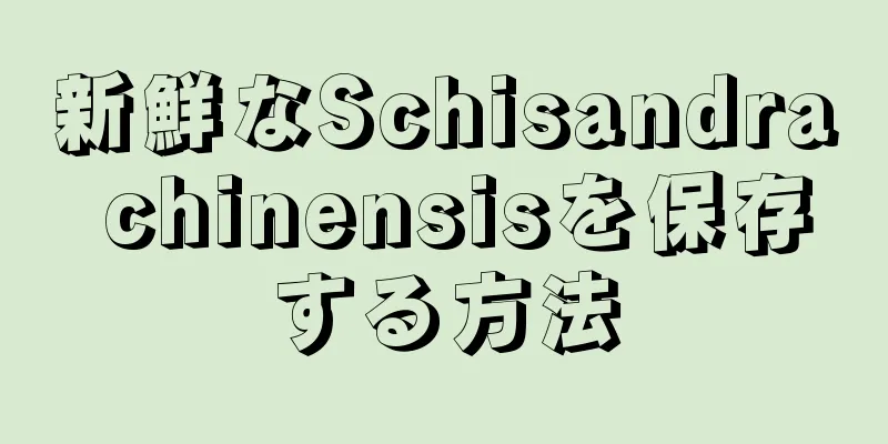 新鮮なSchisandra chinensisを保存する方法