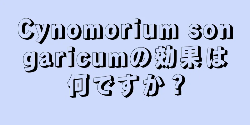 Cynomorium songaricumの効果は何ですか？