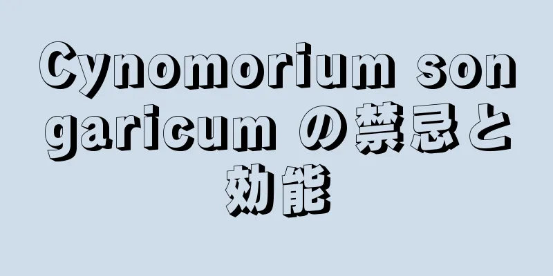 Cynomorium songaricum の禁忌と効能
