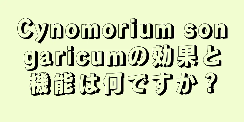 Cynomorium songaricumの効果と機能は何ですか？