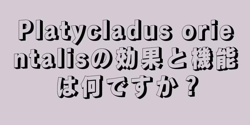 Platycladus orientalisの効果と機能は何ですか？