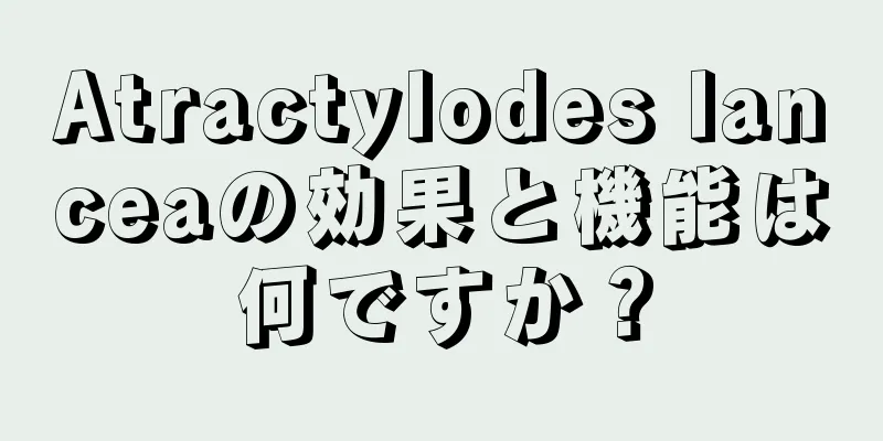Atractylodes lanceaの効果と機能は何ですか？