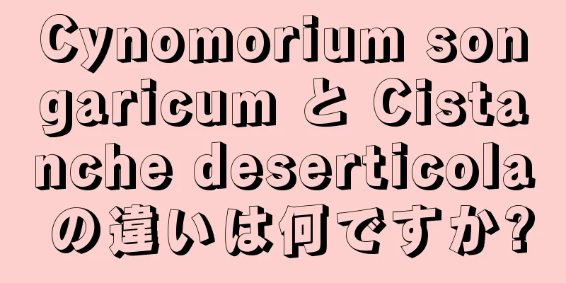 Cynomorium songaricum と Cistanche deserticola の違いは何ですか?