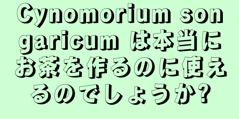 Cynomorium songaricum は本当にお茶を作るのに使えるのでしょうか?