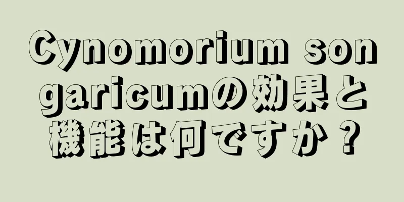 Cynomorium songaricumの効果と機能は何ですか？