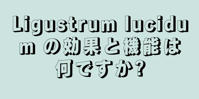 Ligustrum lucidum の効果と機能は何ですか?
