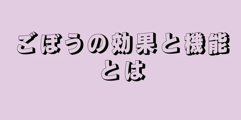 ごぼうの効果と機能とは