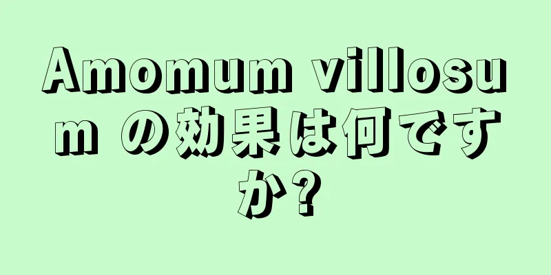 Amomum villosum の効果は何ですか?