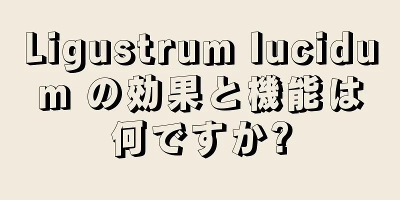 Ligustrum lucidum の効果と機能は何ですか?