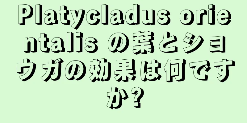 Platycladus orientalis の葉とショウガの効果は何ですか?