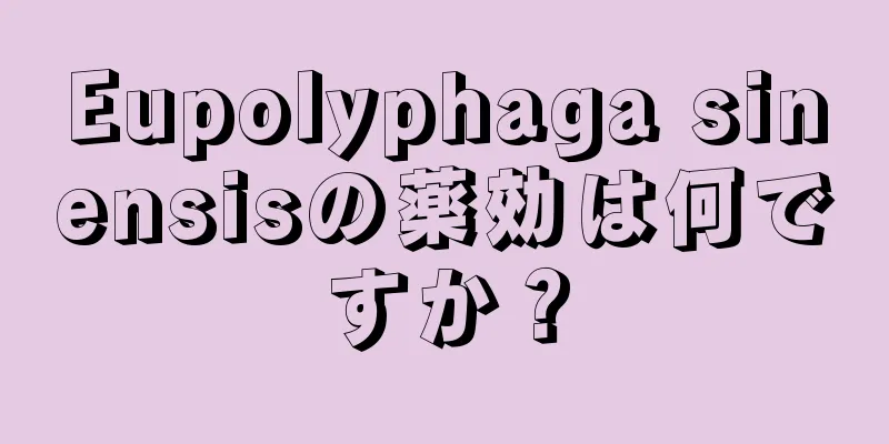 Eupolyphaga sinensisの薬効は何ですか？