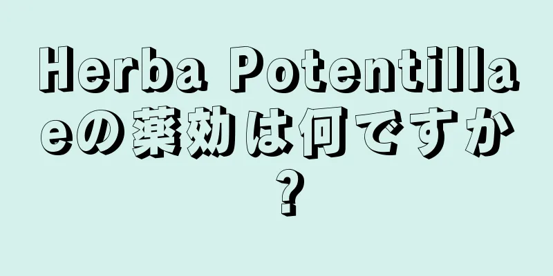 Herba Potentillaeの薬効は何ですか？