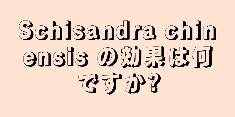 Schisandra chinensis の効果は何ですか?