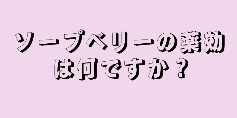 ソープベリーの薬効は何ですか？
