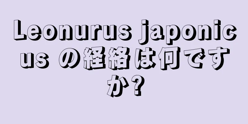 Leonurus japonicus の経絡は何ですか?