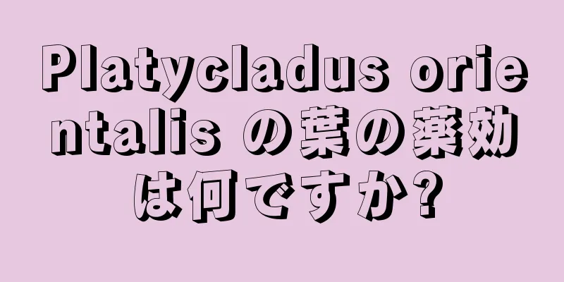 Platycladus orientalis の葉の薬効は何ですか?