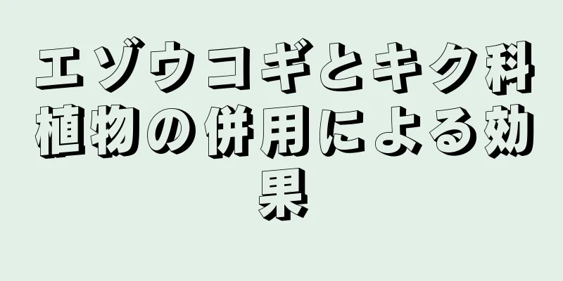 エゾウコギとキク科植物の併用による効果