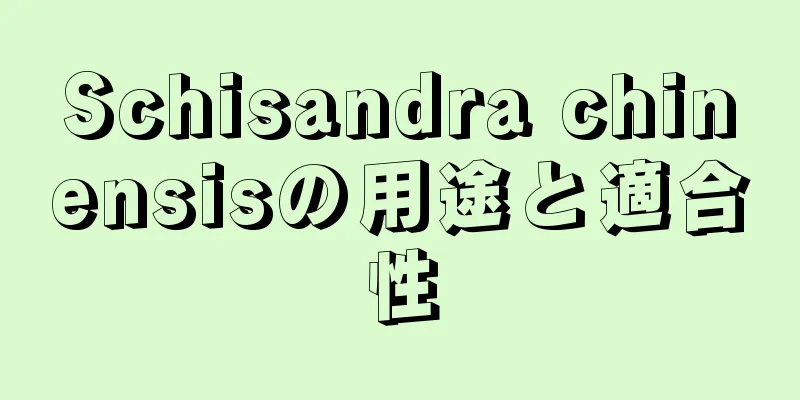 Schisandra chinensisの用途と適合性