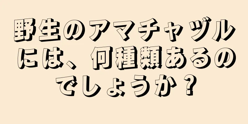 野生のアマチャヅルには、何種類あるのでしょうか？
