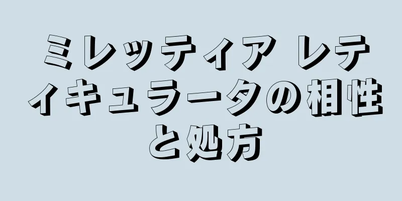 ミレッティア レティキュラータの相性と処方