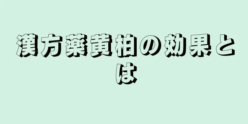 漢方薬黄柏の効果とは