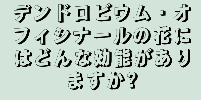 デンドロビウム・オフィシナールの花にはどんな効能がありますか?