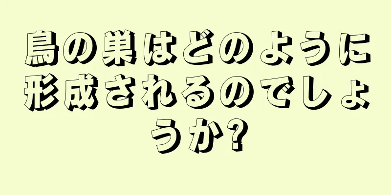 鳥の巣はどのように形成されるのでしょうか?