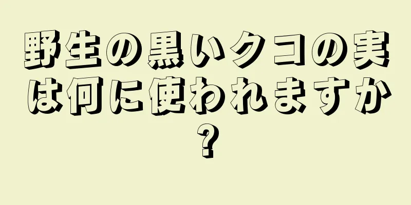 野生の黒いクコの実は何に使われますか?