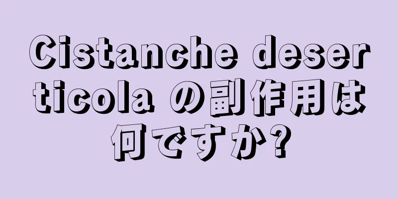 Cistanche deserticola の副作用は何ですか?