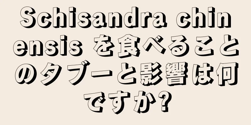 Schisandra chinensis を食べることのタブーと影響は何ですか?