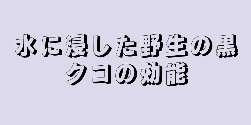 水に浸した野生の黒クコの効能