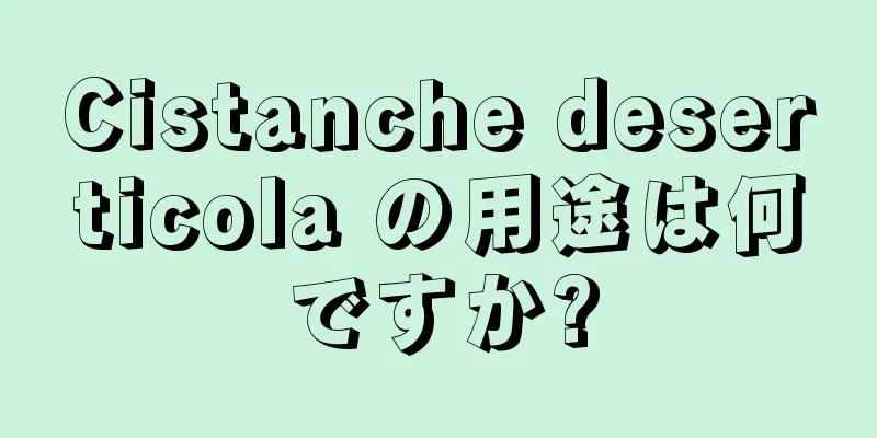 Cistanche deserticola の用途は何ですか?