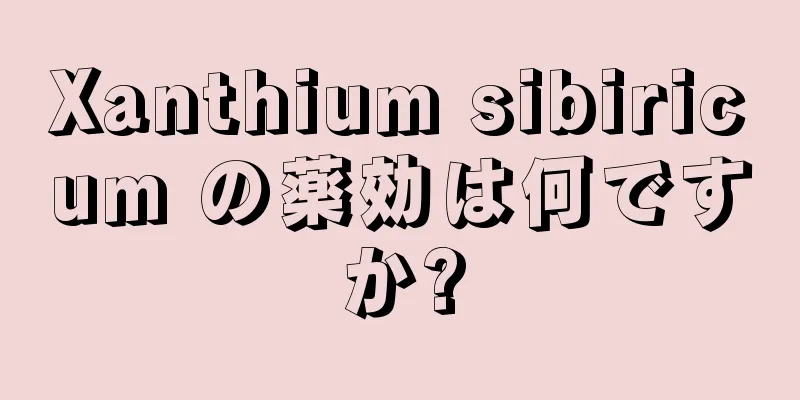 Xanthium sibiricum の薬効は何ですか?