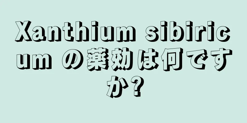 Xanthium sibiricum の薬効は何ですか?