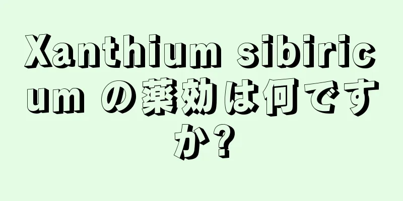 Xanthium sibiricum の薬効は何ですか?