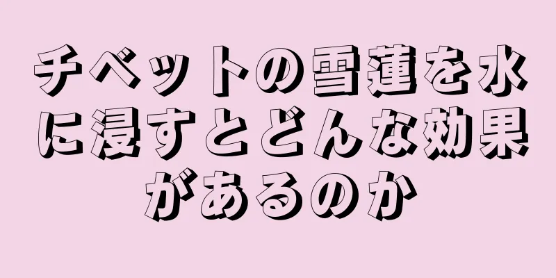 チベットの雪蓮を水に浸すとどんな効果があるのか