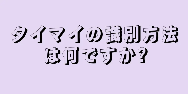 タイマイの識別方法は何ですか?