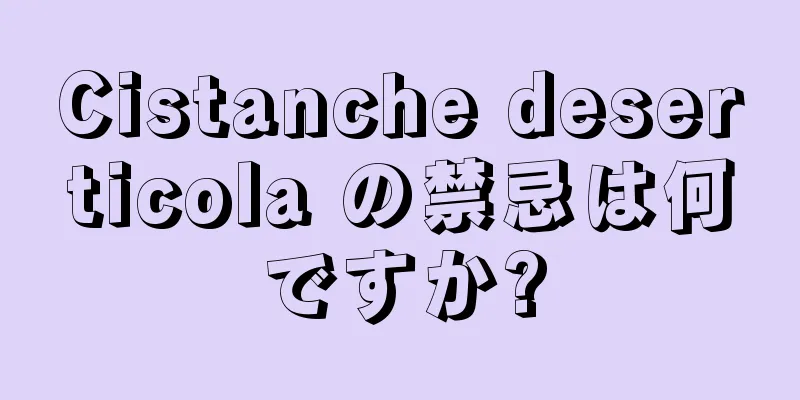 Cistanche deserticola の禁忌は何ですか?