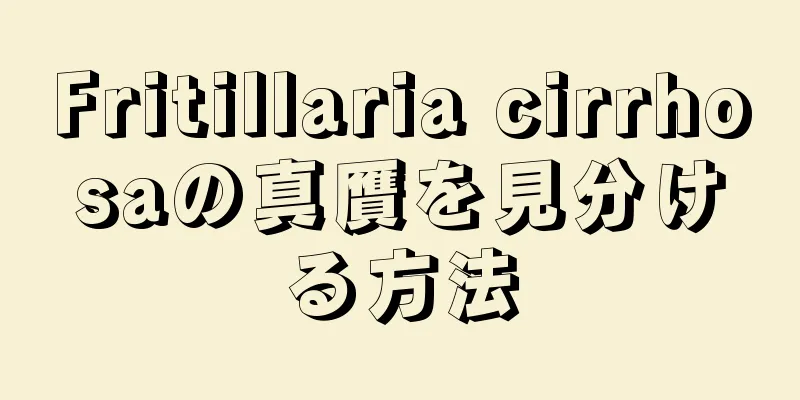 Fritillaria cirrhosaの真贋を見分ける方法