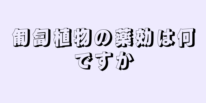 匍匐植物の薬効は何ですか