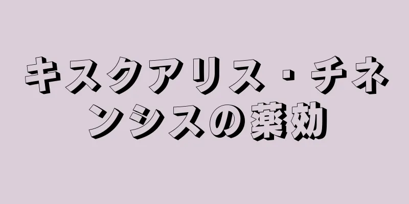 キスクアリス・チネンシスの薬効