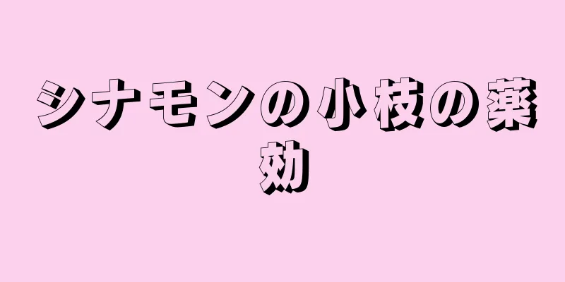 シナモンの小枝の薬効