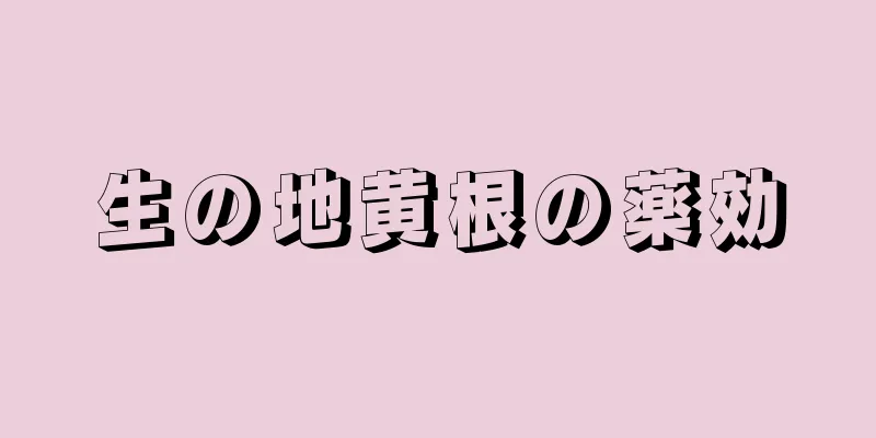 生の地黄根の薬効